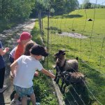 phoca_thumb_m_veverky u rybnka 4 Fotogalerie